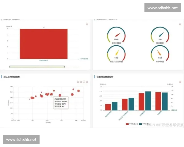 基于大数据分析的篮球统计平台助力球队战略决策与球员表现评估
