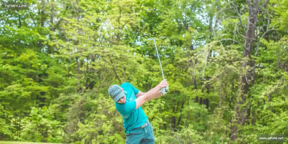 行业领先的理由